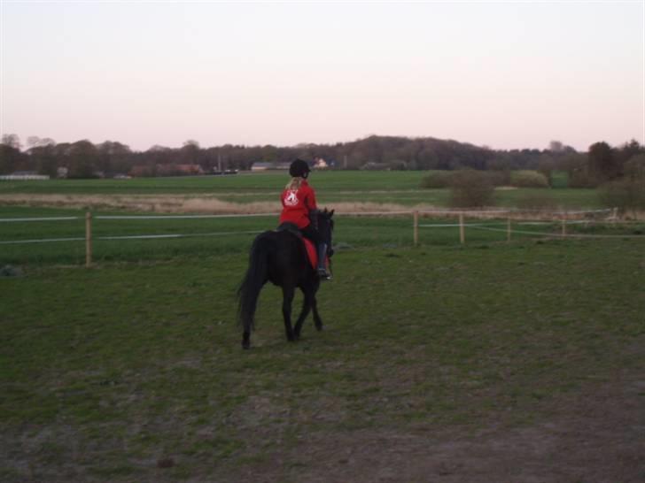 Anden særlig race R.I.P Robin<3<3 - Træning.<33 billede 12