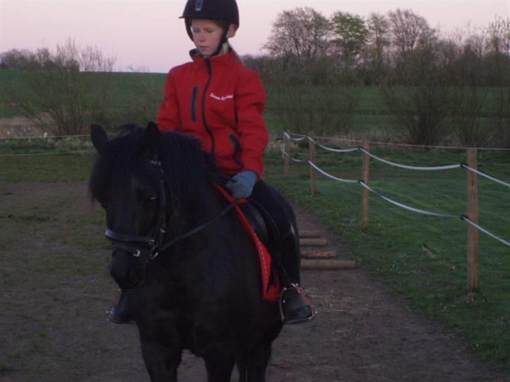 Anden særlig race R.I.P Robin<3<3 - træning.<33 billede 11