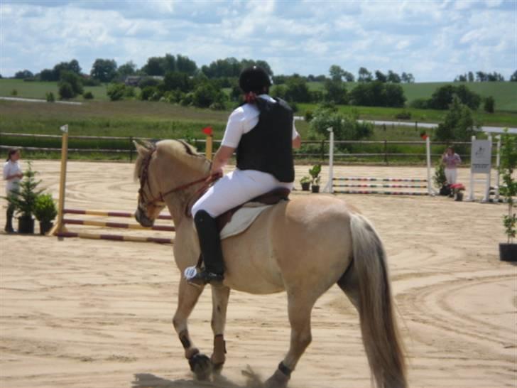 Fjordhest Campari :)<3har haft lånt - Stævne den 21/6-09 LE for hest (80cm) billede 9