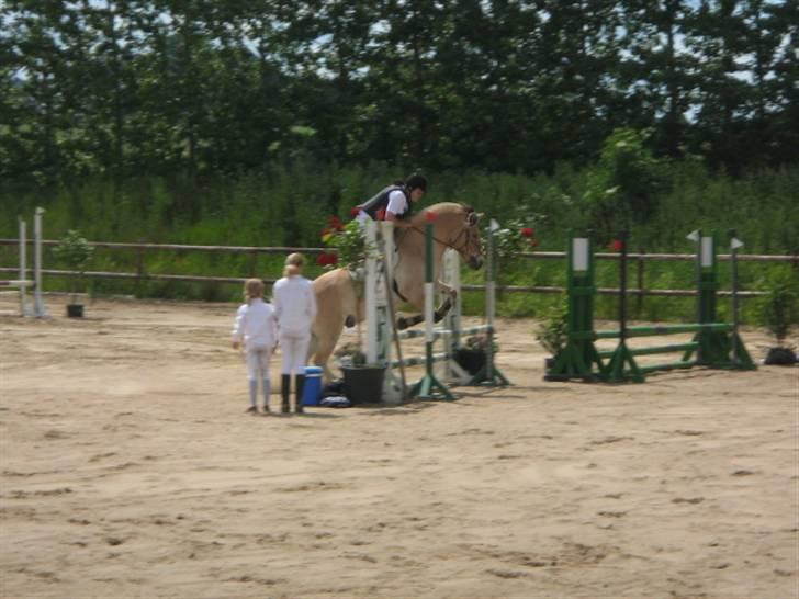 Fjordhest Campari :)<3har haft lånt - Stævne den 21/6-09 LE for hest (80cm) billede 10