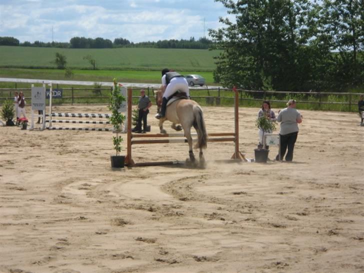 Fjordhest Campari :)<3har haft lånt - Stævne den 21/6-09 LE for hest (80cm) billede 11