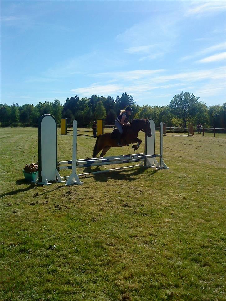 Anden særlig race Cassiopeia - Spring undervisning billede 18