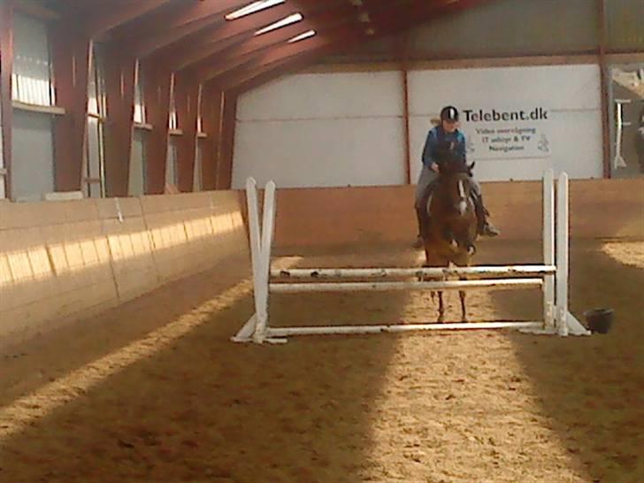 Anden særlig race Cassiopeia - Spring undervisning :D billede 19