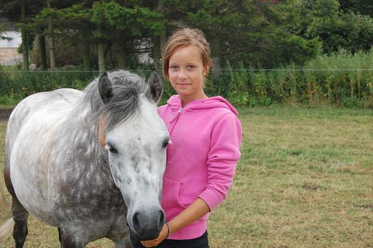 Welsh Pony (sec B) Gipsy | solgt | - mig og min prinsesse pony:*  foto : maria.:-) billede 17