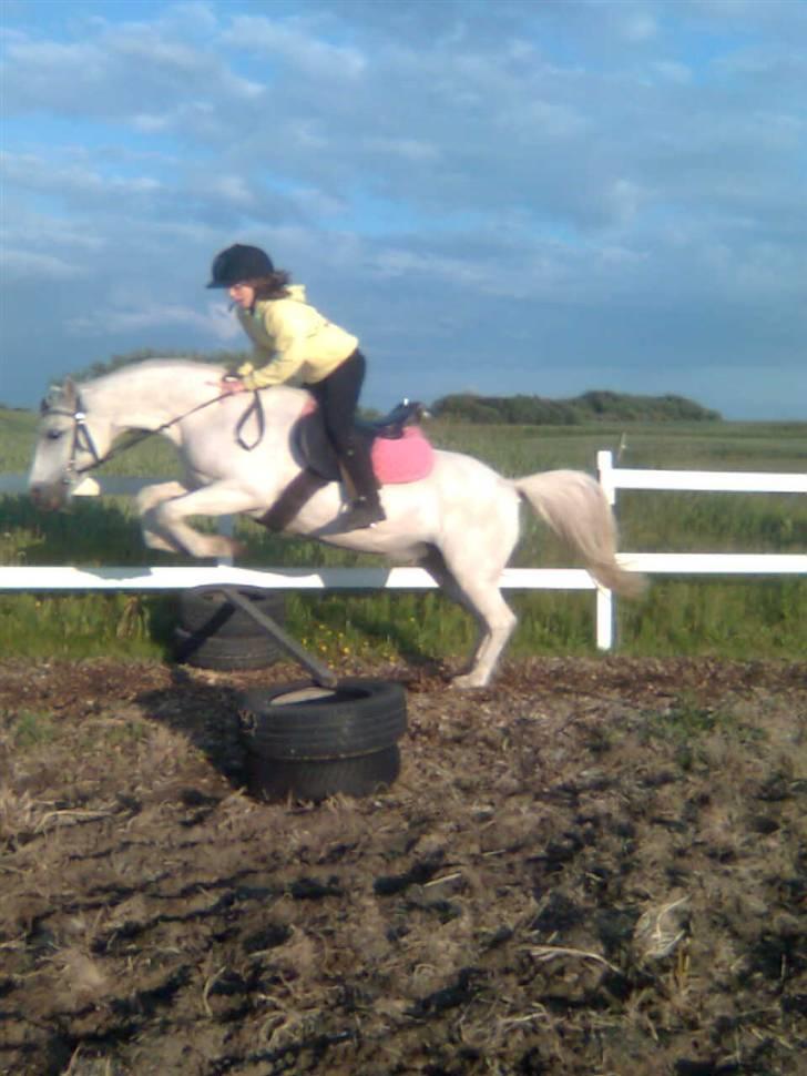 Anden særlig race Bambi - Mig og Bambi der springer! =P billede 17