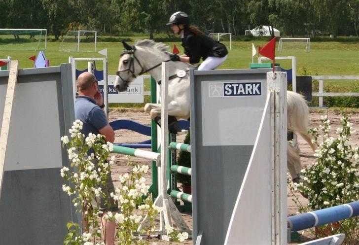 Anden særlig race Chagall - fra la´en i hur (: <33 foto: min far billede 19