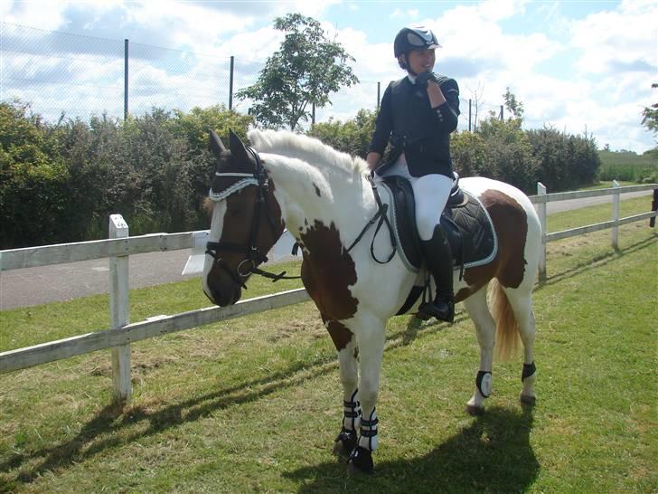 Anden særlig race Malles Chipsy SOLGT billede 20