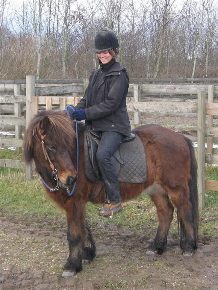 Islænder Flugfaxi fra Solkær - Med mig på nakken, på vej på en smadderkold tur i februar :) billede 7