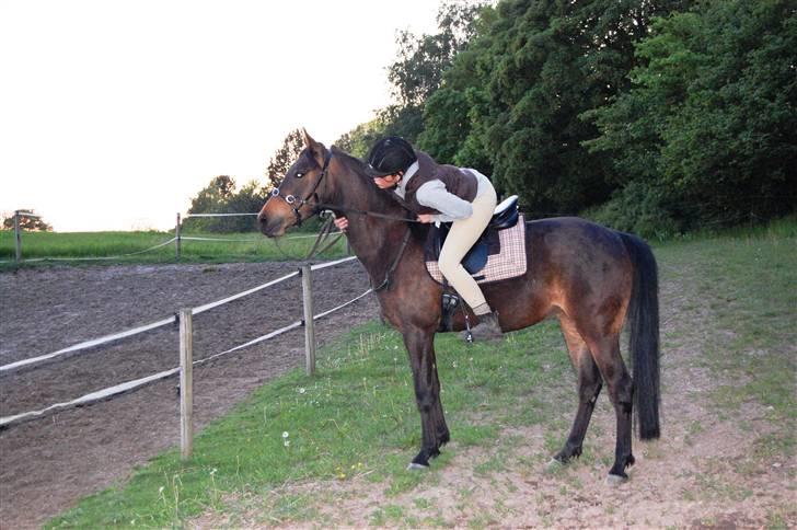 Anden særlig race Columbine  - ude på en lille tur (:  billede 19
