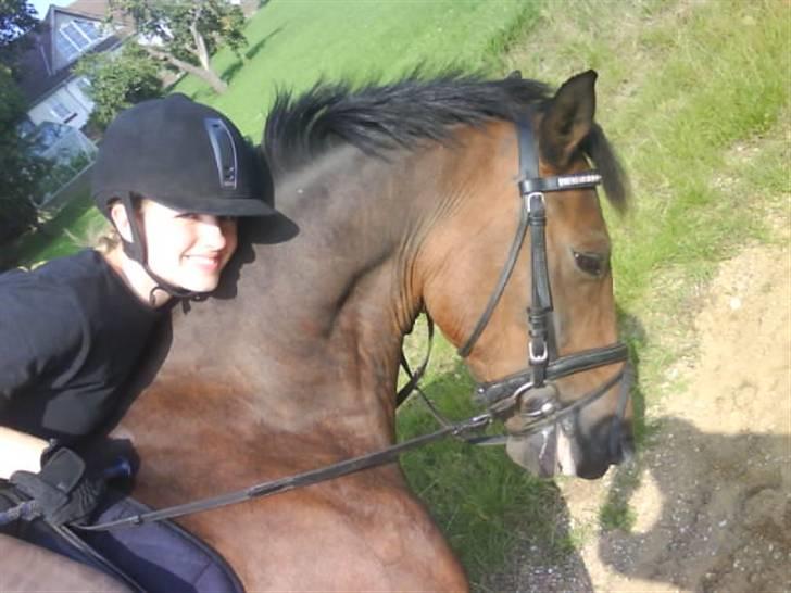 Hollandsk Sportspony Jorny  R.I.P  :'( billede 20