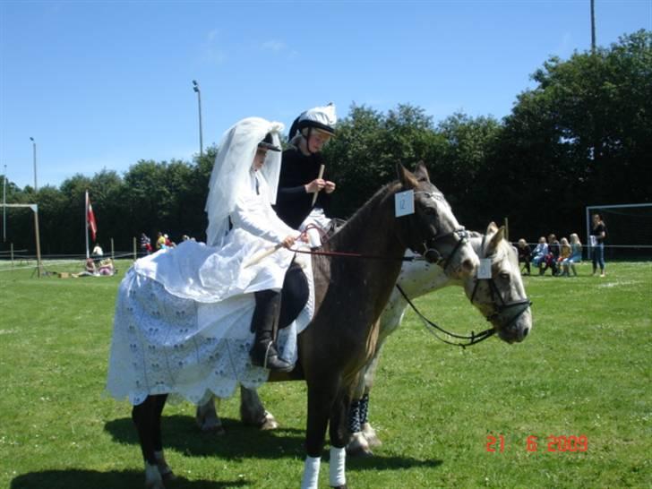 Knabstrupper Roosgårdens Frønse *redet - til ringridning i holtet billede 3