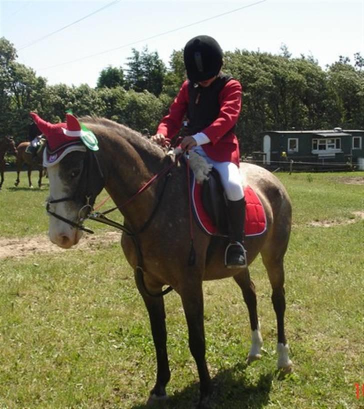 Knabstrupper Roosgårdens Frønse *redet billede 5