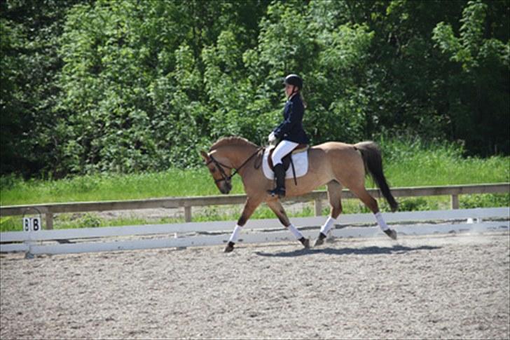 Anden særlig race Tulle - klubmesterskab LC2 billede 12