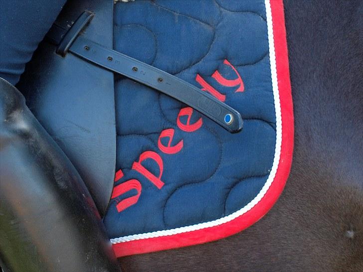 Hannoveraner Don Walou  billede 11