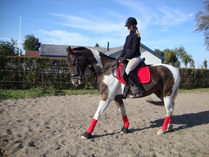 Anden særlig race Peanut<3 billede 2