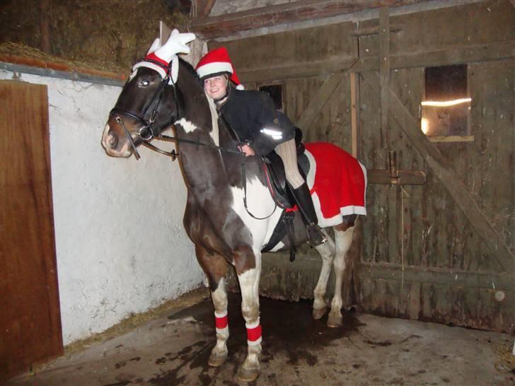 Anden særlig race Peanut<3 - Så har han så juleudstyr på nuhhh:D <3 billede 5