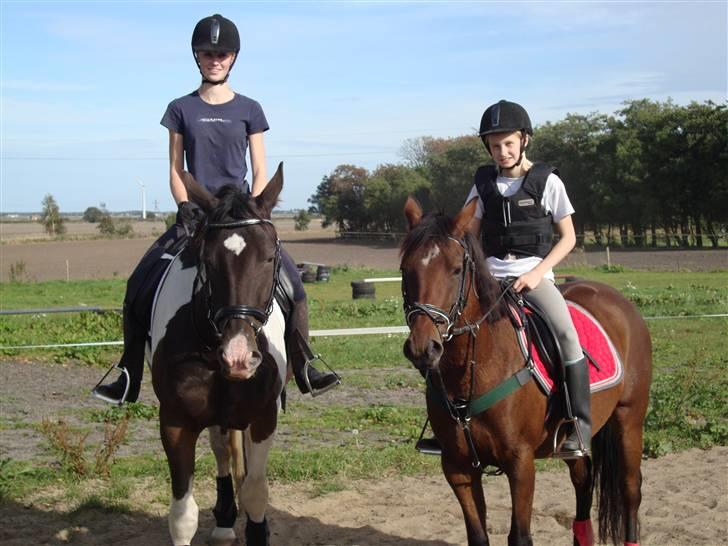 Anden særlig race Peanut<3 - nuhhhh søde heste <3333 billede 8