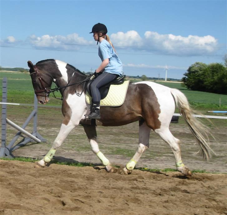 Anden særlig race Peanut<3 - så nu kan man gå pænt var peanut billede 10