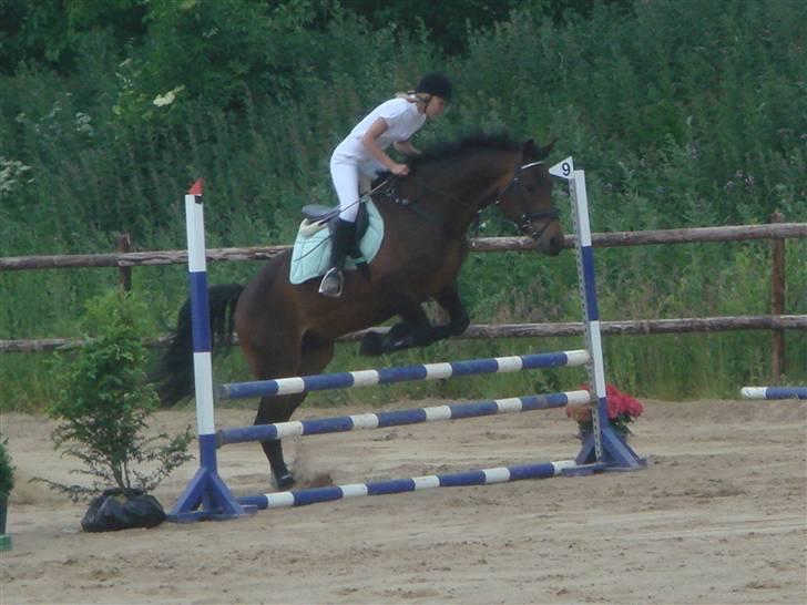 Anden særlig race bravour:) solgt og SAVNET billede 12