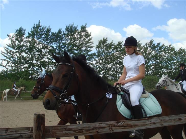 Anden særlig race bravour:) solgt og SAVNET billede 13