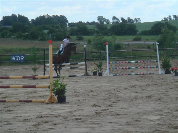 Anden særlig race bravour:) solgt og SAVNET billede 15