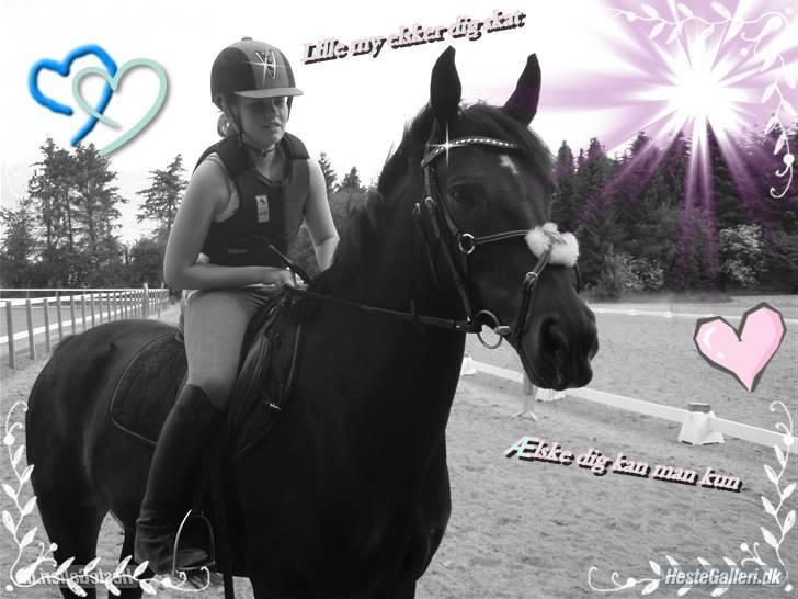 Oldenborg Lille My  -  <3 billede 18