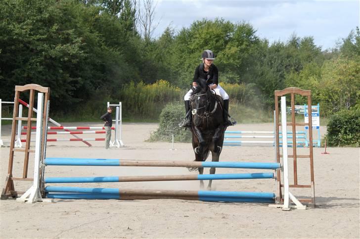 Oldenborg Lille My  - GLK stævne <3 billede 20