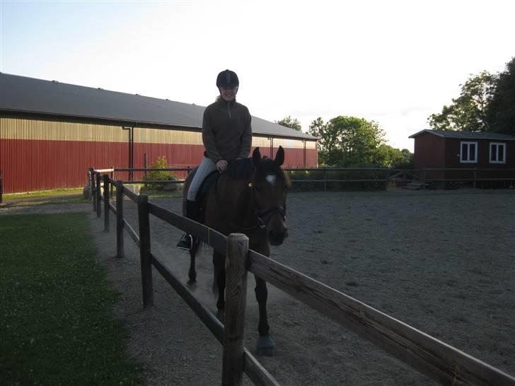 Anden særlig race PW's Tascha  billede 6