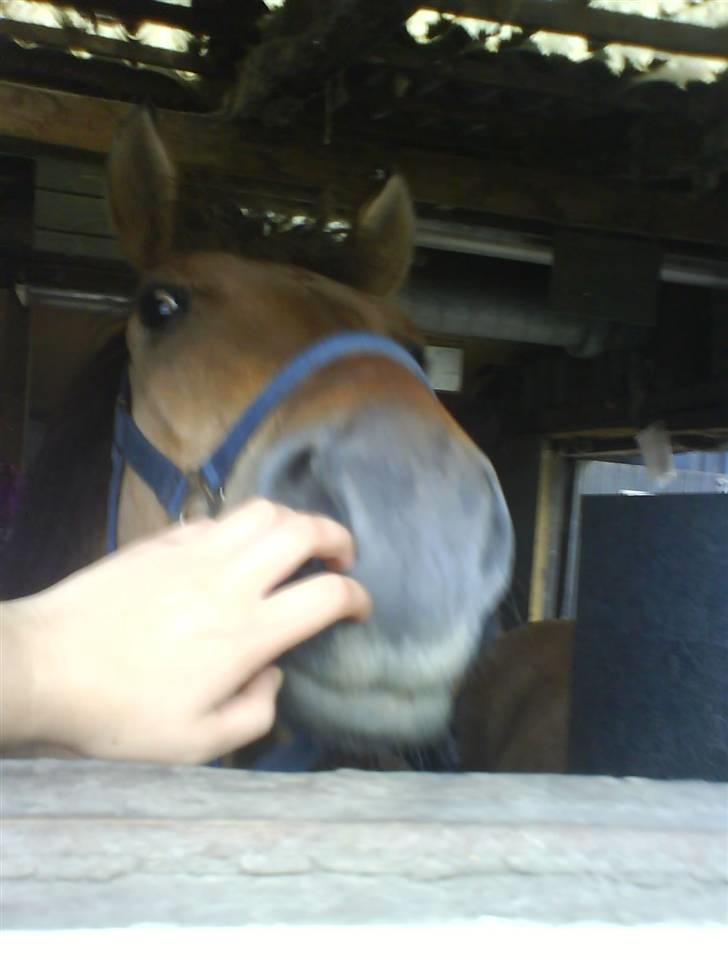 Anden særlig race Terkel, part :) - Siger farvel ud af vinduet (: <3 billede 17