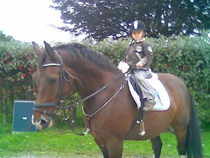 Anden særlig race Leslie billede 12