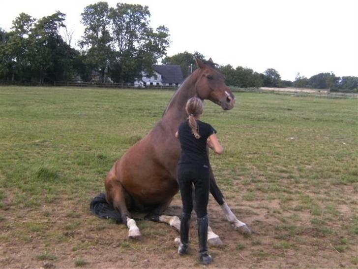 Anden særlig race Leslie billede 18