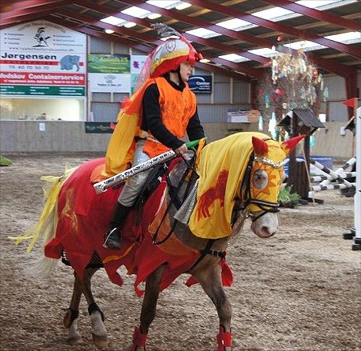 Anden særlig race Roosgårdens Cosmopolitan *Udlånt* - Fastelavnsspringklasse.. Først skulle banen gennemføres til hest, derefter til fods, på tid.. De vandt..:) billede 14