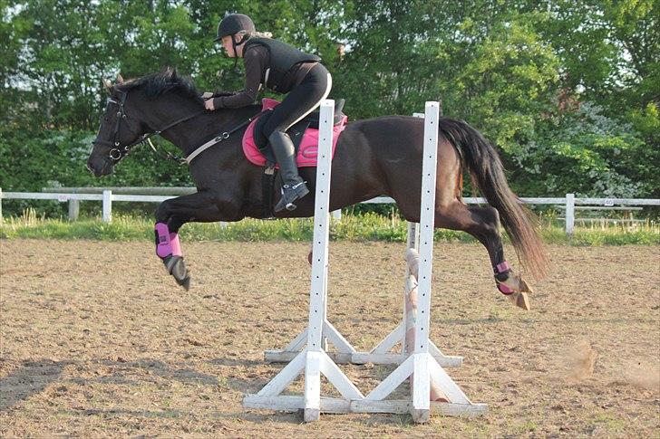 Dansk Varmblod Malue Åbo - 8. En af de første springtimer i år, nu kan vi endelig komme på udebanen igen :D Fotograf: Tinne billede 8
