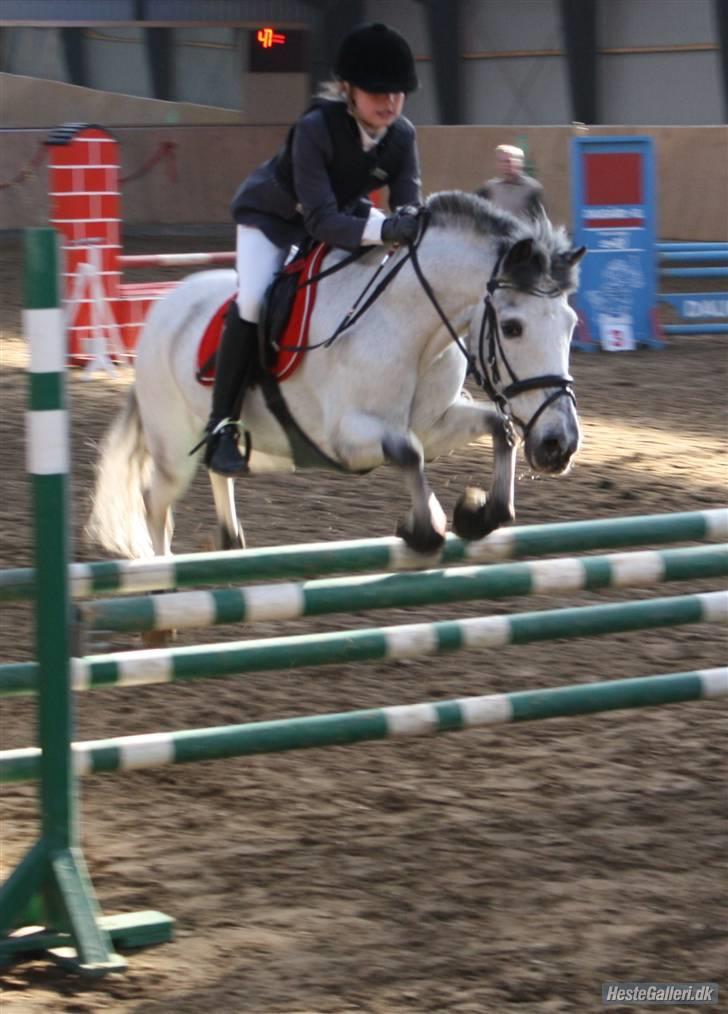 Anden særlig race PRIK. - Mb i HDR - sidste nul runde for B-evk. (; Hvor så du glad ud skat. Foto: Cæcilie Tygesen  billede 11