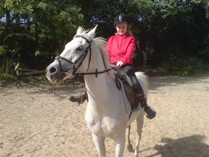 Anden særlig race dino boy " SOLGT " - amanda og dino boy i fuld trav hen imod mig ... det ser sjovt ud :)  billede 1