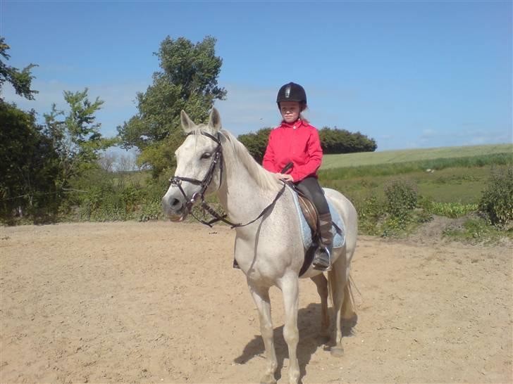 Anden særlig race dino boy " SOLGT " - amanda og dino  billede 2