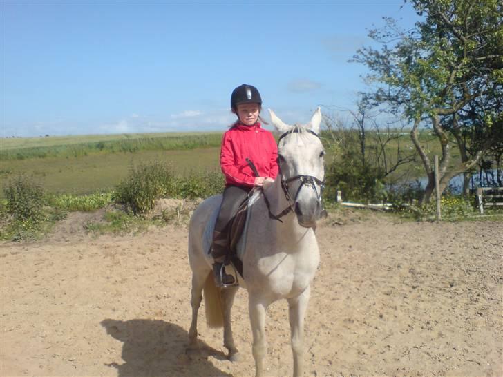 Anden særlig race dino boy " SOLGT " - nåuur lille dino billede 3