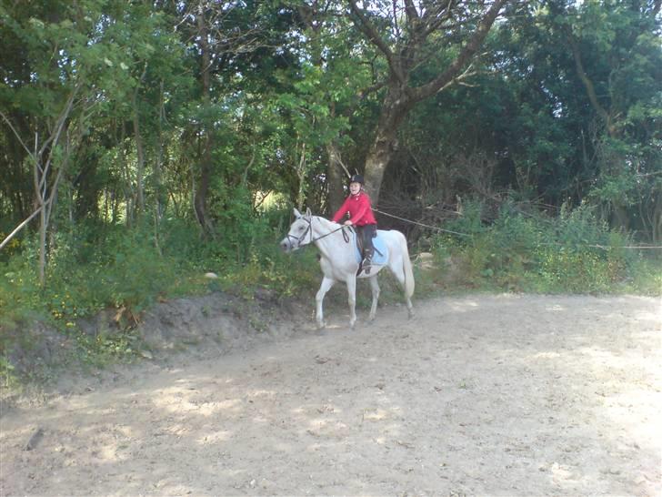 Anden særlig race dino boy " SOLGT " billede 5