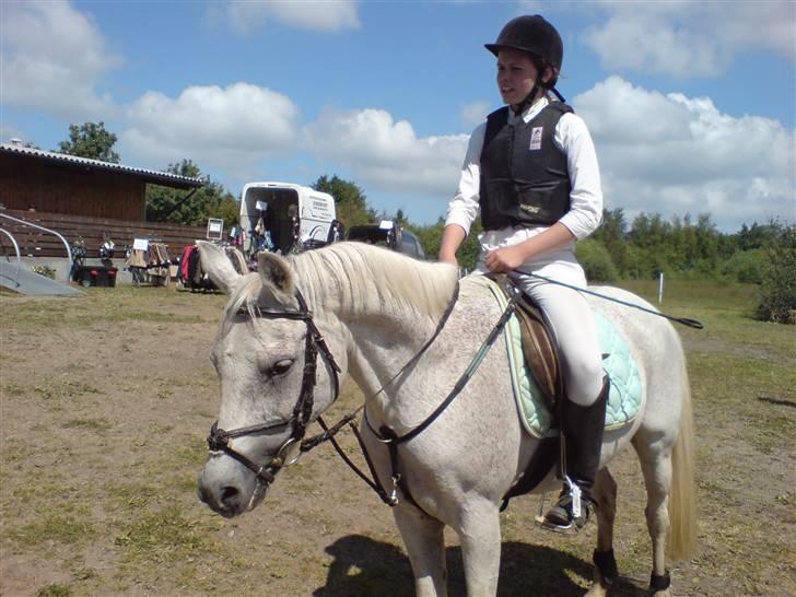 Anden særlig race dino boy " SOLGT " - mia og dino til stævne billede 7