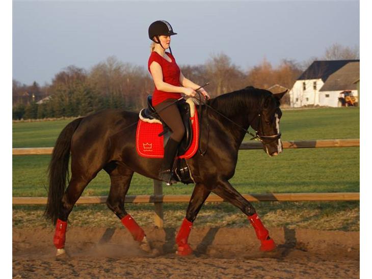 {{currentPhoto.altText}} billede {{currentPhoto.number}}