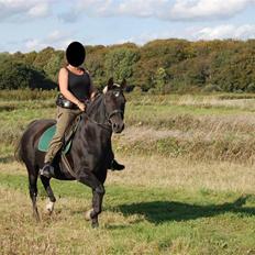 Anden særlig race Zorba