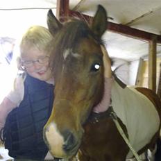 Anden særlig race Stella Nova (solgt)