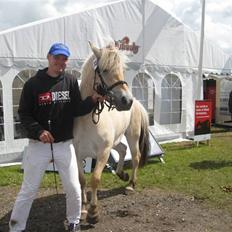 Fjordhest Kaia Halsnæs