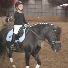 Anden særlig race Lindholms Indi*Solgt*