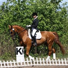 Oldenborg Pandoer - SOLGT :'(