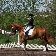 Oldenborg Pandoer - SOLGT :'(