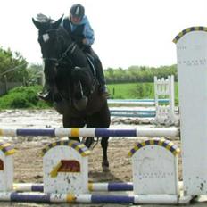 Oldenborg Bad Boy