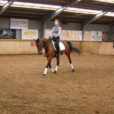 Anden særlig race Ronja 