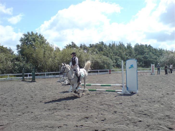 Anden særlig race dino boy " SOLGT " billede 8