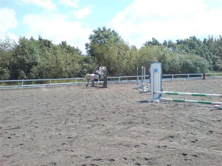 Anden særlig race dino boy " SOLGT " billede 9